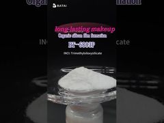 ফাউন্ডেশনে Trimethylsiloxysilicate ব্যবহার